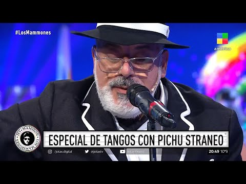 🎶 Especial de tangos con Pichu Straneo 🎤🤣