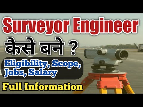 Individual consultant one-time independent review & monitori...