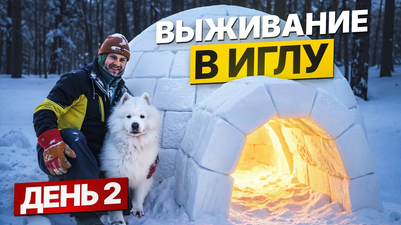ПОСТРОИЛИ ИГЛУ в ЛЕСУ - НОЧЬ ЗИМОЙ БЕЗ ПАЛАТКИ - день 2