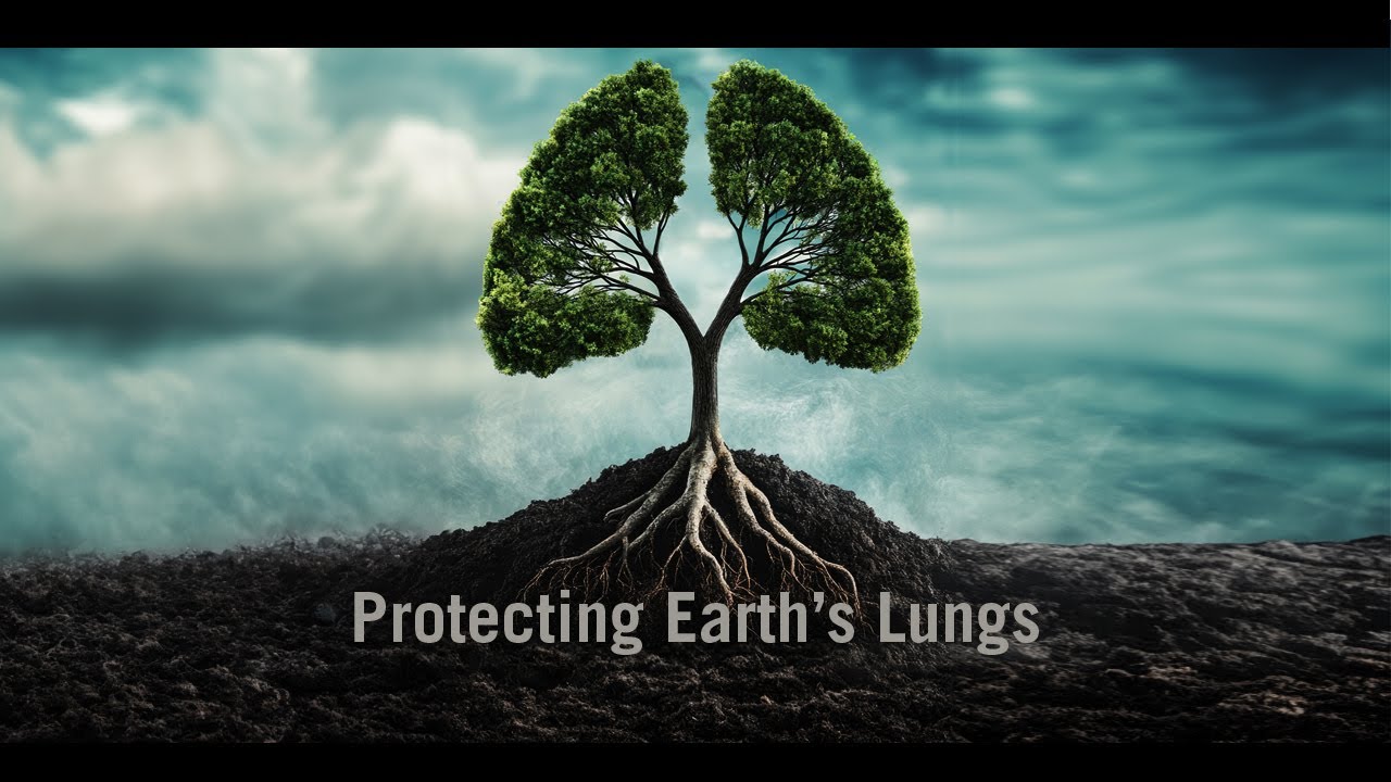 Protecting Earth's Lungs
