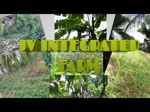 JV INTEGRATED FARMING :IBA'T-IBANG TANIM SA ATING FARM