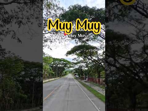 Llegando a Muy muy Matagalpa #nicaragua #travel