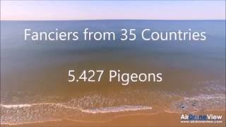 18/8/2016- 1er CONCOURS AS PIGEONS – MONFORTE – 207.391 4.546 KM – XNUMX XNUMX PIGEONS