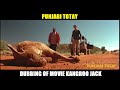 Punjabi Totay Kangroo Jack HD New Punjabi Dubbing