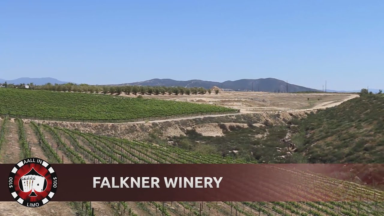 Best 5 Wineries in Temecula To Grab Dinner At Aall In Limo