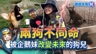 [問卦] 原來被企鵝妹影響到狗生的不只是Gina