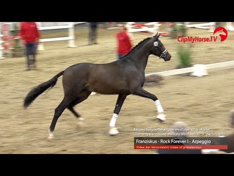 Hengst v. Franziskus - Rock Forever I - Arpeggion