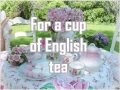 English Tea- Paul McCartney Lyrics