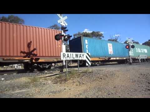 Two G class and a DL - Pacific National Freight Train in Mangalore