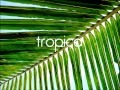 Hybrid - Blackout (The Cinematic Orchestra Mix)