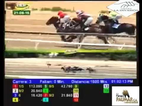 LA RINCONADA 3 CARRERA, DOMINGO 21 DE AGOSTO DEL 2016