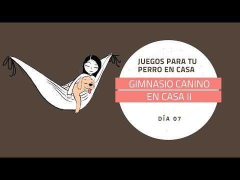 [Juegos para tu perro en casa] DÍA 7: Gimnasio canino en casa II