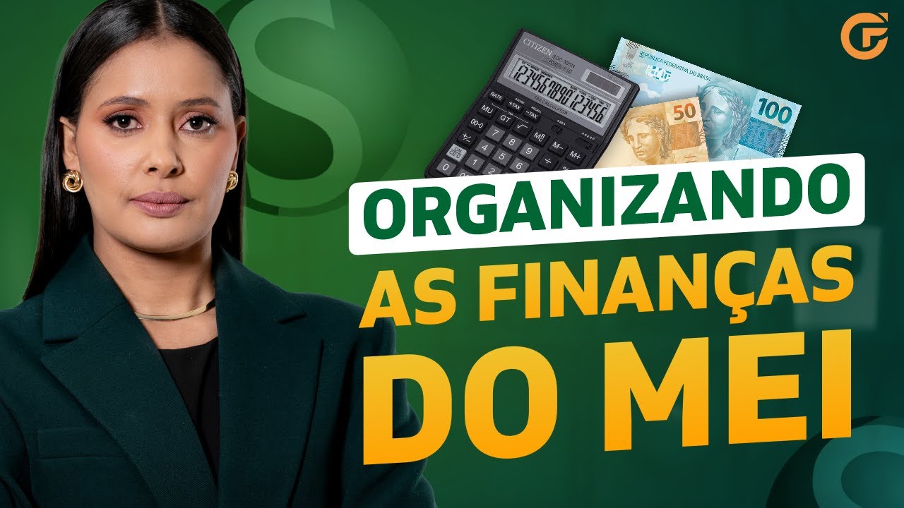 COMO ORGANIZAR AS FINANÇAS DO MEI EM 2024 [APRENDA NA PRÁTICA]