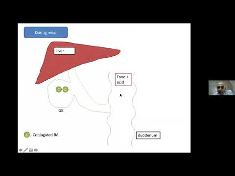 NAFLD Summit Program -5th July 2020