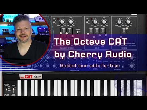The Cat From Octave: A Soft #synth By Cherry Audio - Guided Tour