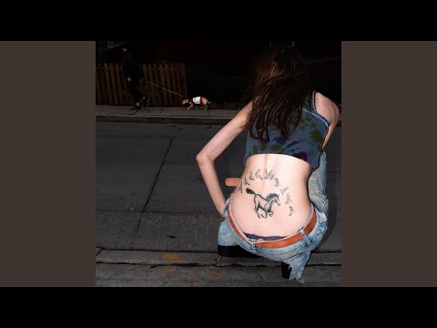 Video thumbnail for Wingspan