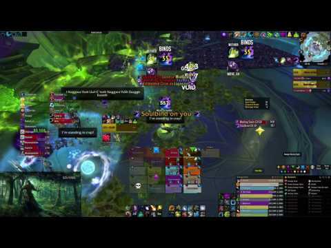 Mythic The Desolate Host (Corrupted Squad) Restoration Druid POV