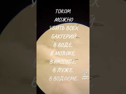 Микроскоп. Микробы. Бактерии. Убить всех током. Пастеризация молока. ТОК и ТИК. ТИК и ТОК.