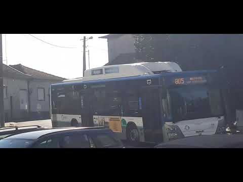 STCP Linha 805 Veículos 3201, 3203, 3204, 30/07/2021