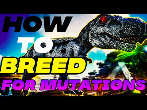 Ark Official PVP | Mutation Breeding Guide (Updated)