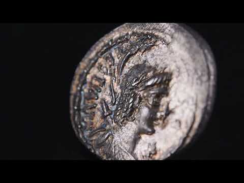 Coin, Plaetoria, Denarius, Rome, MS(60-62), Silver, Crawford:409/1