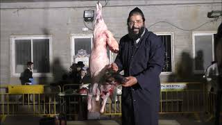 המחשה והכנה לקרבן פסח