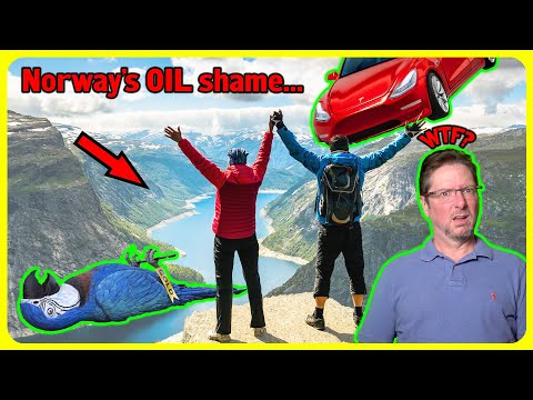 Norway: All those EVs have had ZERO effect on OIL demand!! 🤡🌍 | MGUY Australia