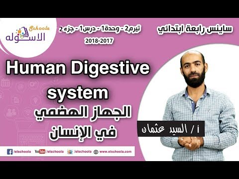 ساينس رابعة ابتدائي 2018 | الجهاز الهضمي في الإنسان | تيرم2- وح1 - در1-جزء2| الاسكوله