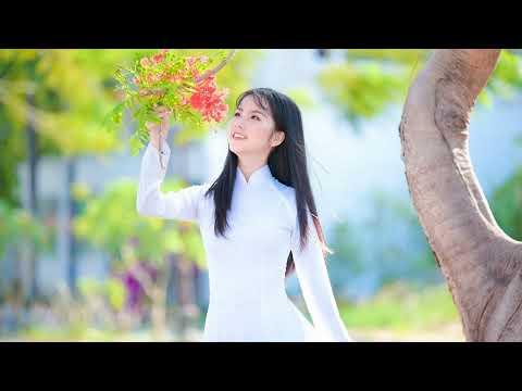 Xa nhau lần cuối - Hoàng Sơn