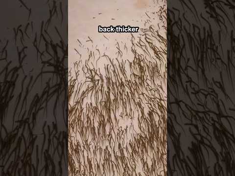 Why you should never shave your unibrow 😱