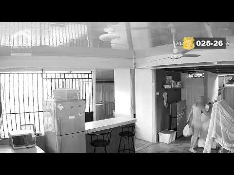 025. Sospechoso de Robo en Corredores, Puntarenas.