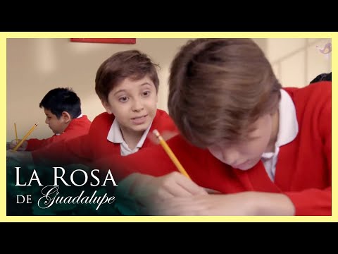 Bernie le pega a Toño por no pasarle las respuestas del examen | La Rosa 2/4 | Un mundo de fieras