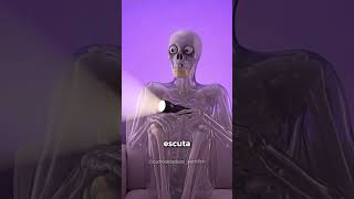 já imaginou? #youtubeshorts #curiosidades #curiosidadeshistoricas #fatos