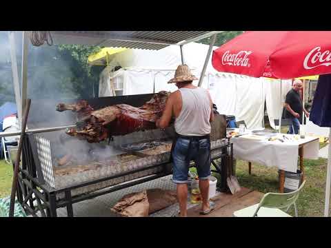 Donauinselfest 2019 Grill Park 1020