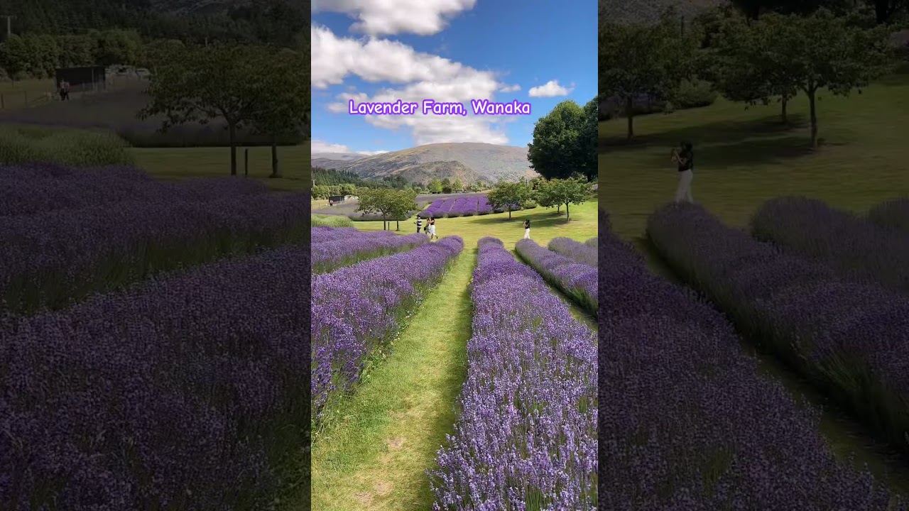 YouTube Short thumbnail