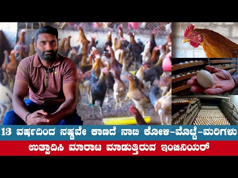 Engineer's 13 Year Profitable Journey in Nati Koli, Egg, & Chicks near Mysore | Nati Koli Farming