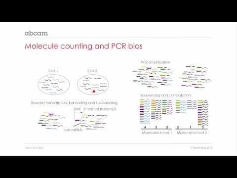 Single-Cell RNA-Seq and cell heterogeneity in the central nervous system