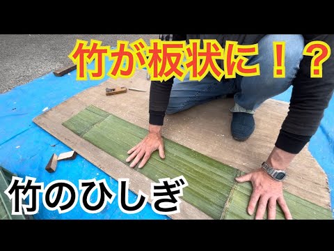 ニセササの生け垣に適した目立たない竹の種類は何ですか?