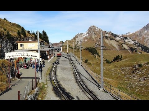 Scenic - Schynige Platte Railway for a view from the top of the world (Switzerland)