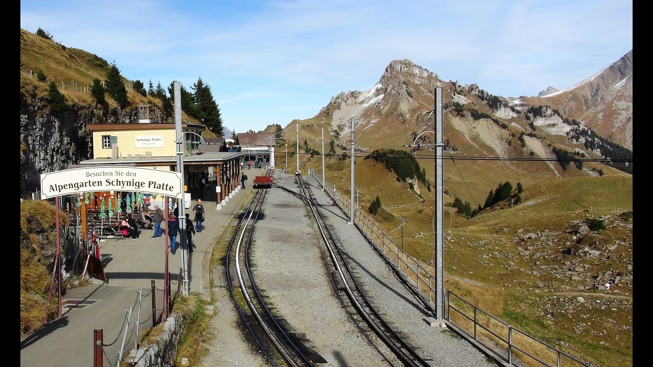 Scenic - Schynige Platte Railway for a view from the top of the world (Switzerland)
