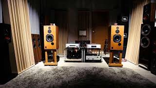 Nils Lofgren   Sticks And Stones