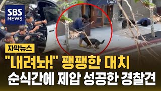 둔기 들고 경찰과 팽팽한 대치..순식간에 제압 성공한 경찰견 (자막뉴스) / SBS