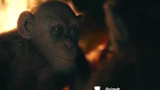 Download lagu Viva  video mp3