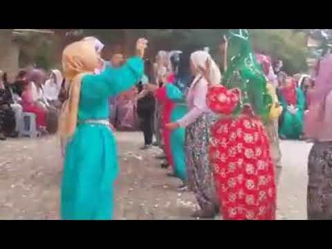 Müzisyen Özlem Ökten AKŞEHİR düğünleri Gedil köyü mahallesi