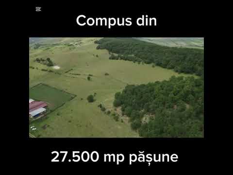 Teren cu priveliște și pădure pentru cabane de vânzare în suprafață de 5 ha — Video