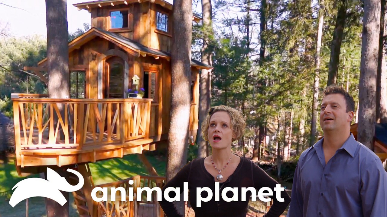 Family Clubhouse in the TREES! | Treehouse Masters | Animal Planet