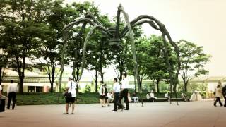 DOCHI SADEGA - FLUKTUASI GLUKOSA