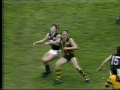 1986 Second Semi Final Hawthorn v Carlton highlights