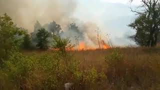 fiamme-a-montaguto-piromani-scatenati