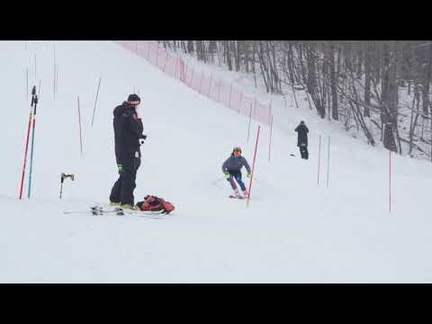 190118 Pico SL R1 CMAT